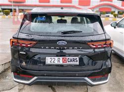 فورد تيريتوري